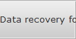 Data recovery for Texas data